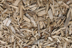 biomass boilers Tyttenhanger