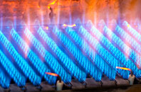 Tyttenhanger gas fired boilers